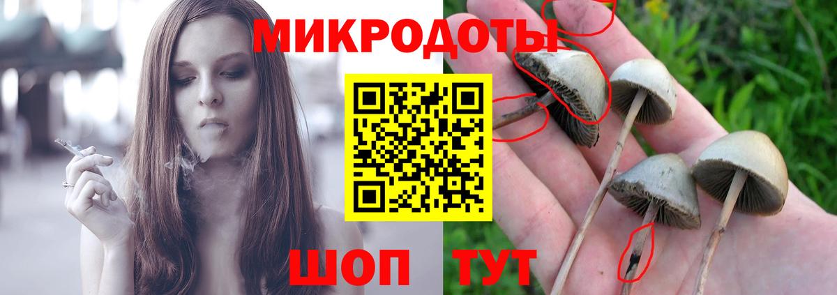 Галлюциногенные грибы MAGIC MUSHROOMS  Вход с VPN  Зеленогорск 