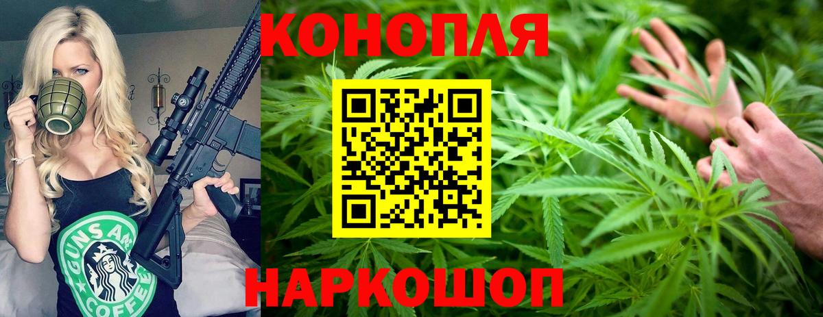 Каннабис Bruce Banner  Канабис VHQ  Зеленогорск  Канабис планчик  Вход с VPN 